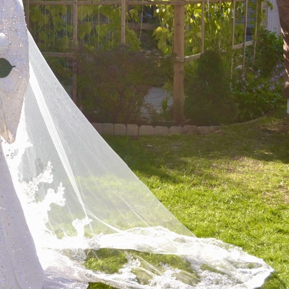 Veil - Picture 2 of 4